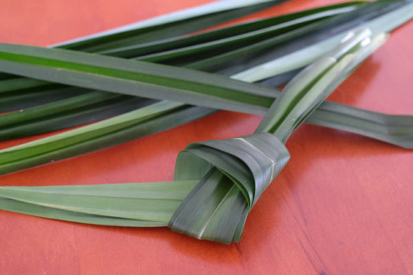 Pandan leaves: uses, health benefits, and storage - New Malaysian Kitchen